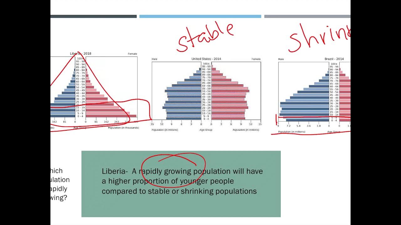 3 6 Age Structure Diagrams - YouTube