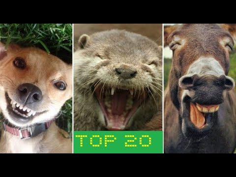 დღის პოზიტივი ♥