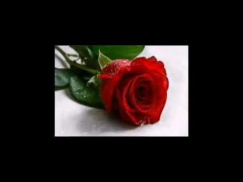 اغنيه بحب كلامك بشفايفك