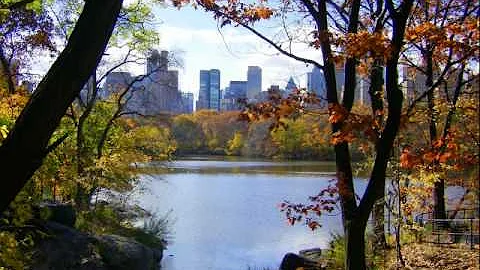 Central Park in Fall