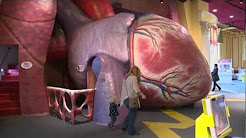 The Franklin Institute