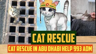 CAT Rescue Abu Dhabi UAE
