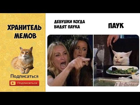Мемы с древними людьми, животными и динозаврами Мемы, Веселые мемы, Смешные мемы