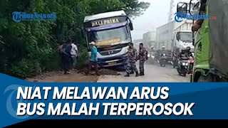 NGEBLONG MALAH TERPEROSOK, Bus Dali Prima Nyaris Masuk Tambak di Gresik