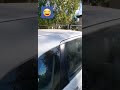 #голуби #смешноевидео #юмор #приколы #ржака