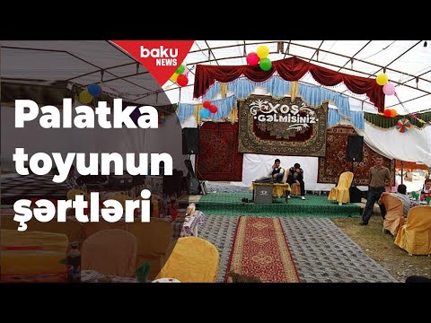 Video: Sərnişin göyərçini nə vaxt təhlükə altında olub?
