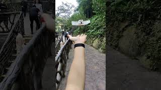 Блогерский карманный дрон. Hover X1 быстрый обзор #drone #дрон #блоггер #видео