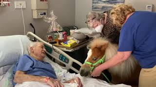 Pet Therapy at Hospice Savannah