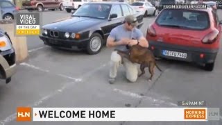 Dog gives the best military welcome home ever