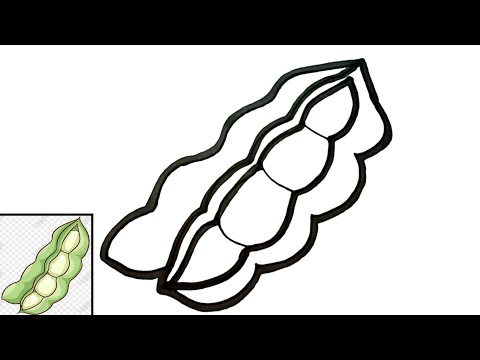 Video: Cara Menggambar Kacang Polong