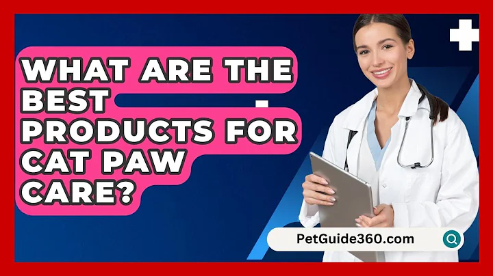 What Are The Best Products For Cat Paw Care? - PetGuide360.com