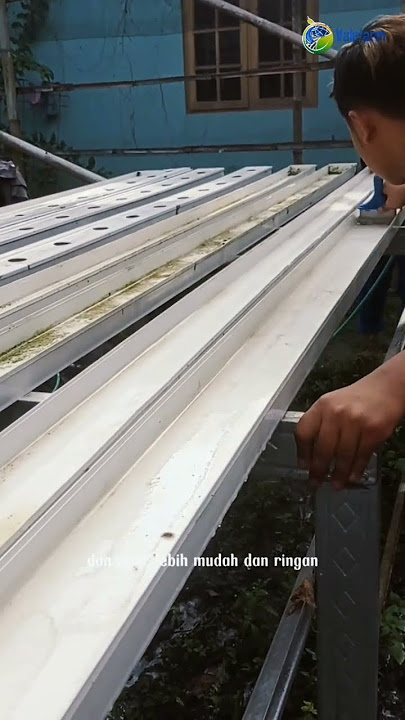 teknik membersihkan instalasi #hidroponik #bersih #instalasi #pertanian