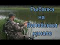 Фидерная ловля на Вилейском канале. Рыбалка на фидер. Рыбалка в Беларуси.