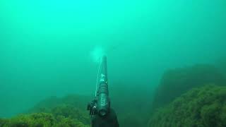Fusil seac sub Hunter 115 cámara GoPro black 5 (espetón)