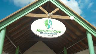 Harrison's Cave Pool & Aviary Launch