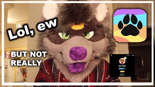 What happened with furry amino , , ?