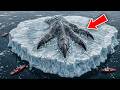 300ft Scary Prehistoric Creature Found Frozen in Antarctica Ice