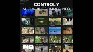 Final Cut Pro Shortcut | Control-Y | Show or Hide Skimmer Info