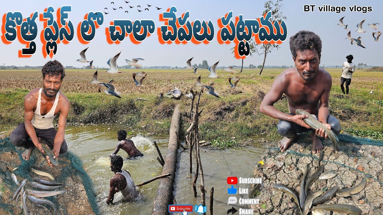 కొత్త ప్లేస్ లో చాలా చేపలు పట్టాము #villagevideos #villagevlog #village #hunting ##koramenu #dryfish