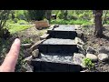 Rundgang durch den Garten