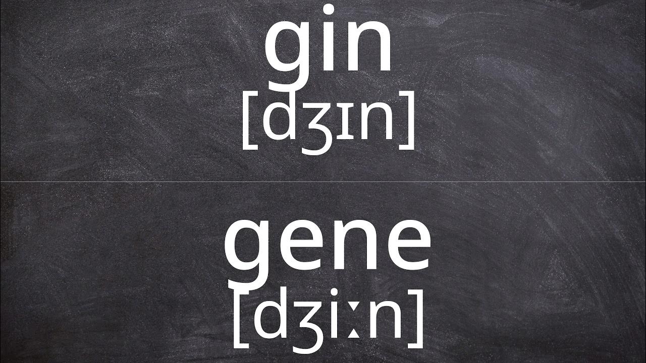 GIN vs GENE Pronunciation in American English YouTube