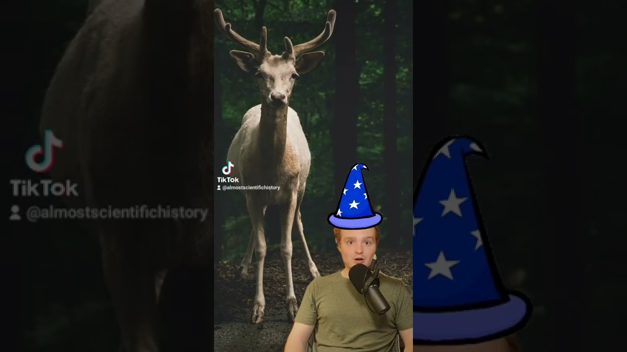 Actual Historical ALCHEMY Recipe Pt 2 🧪 