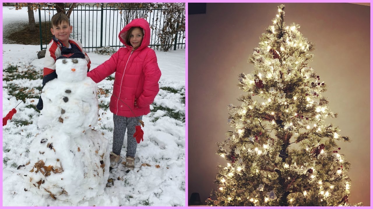 THE START OF THE SEASON 🎄