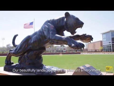 short-term-international-programs-at-towson-university