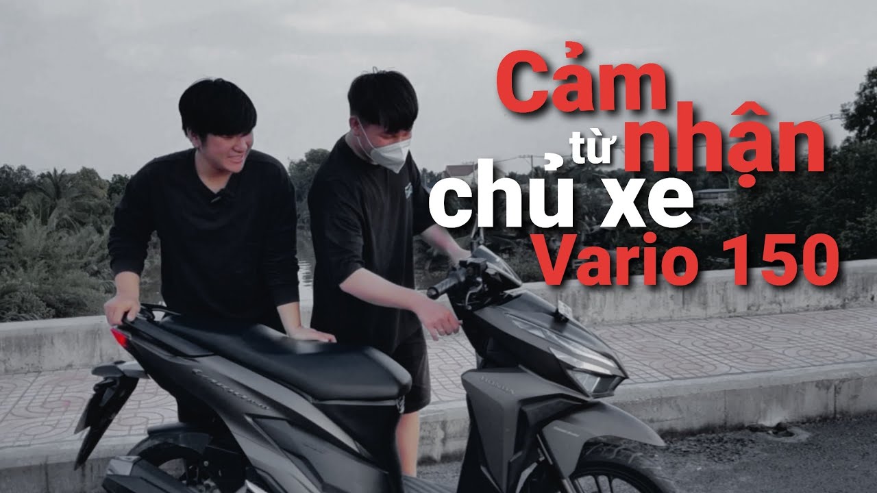 Tem mắt cú dán đầu xe vario click ex 135 exciter 150 winner wave dream  decaloto  Shopee Việt Nam
