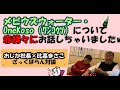 オジカ社長 × 比嘉まさこ対談！日本の菌類を利用した【究極の抗酸化水】ワンこうそ。その作り方の秘密に迫る！