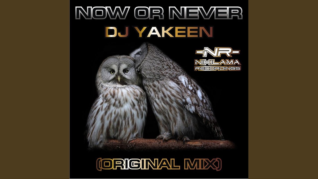 Watch Now or Never on YouTube Watch Now or Never on YouTube