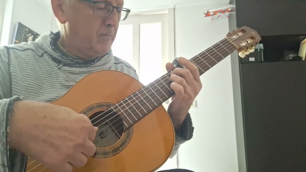 Herhaald miniconcierto: zeven composities 