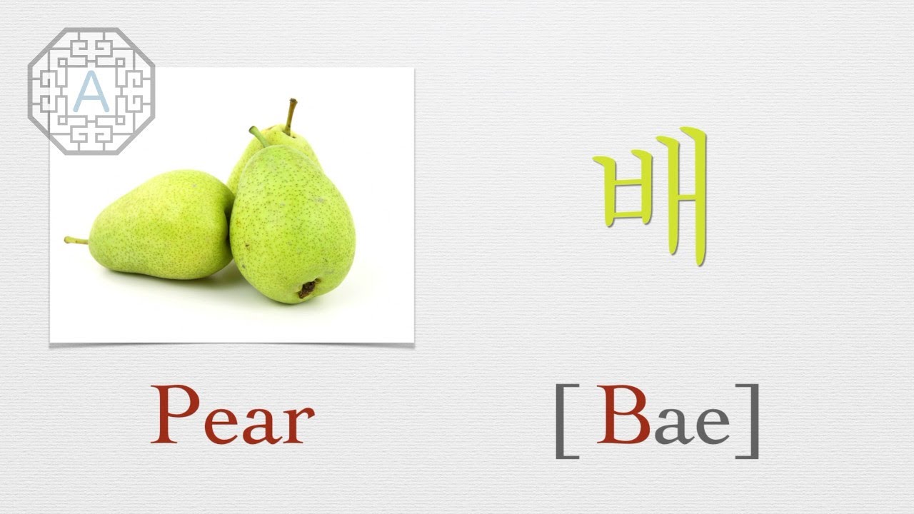 【Korean Vocab 101】How to pronounce "Pear" (배) in Korean Koreanescent