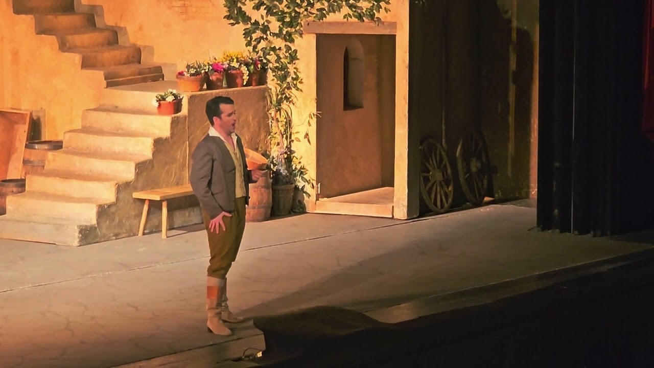 Xabier Anduaga singt Una furtiva lagrima