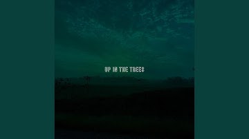 Up in the Trees