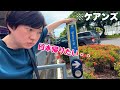 日本食が恋しくなったのでオーストラリアに来ました【日本激近ケアンズ】