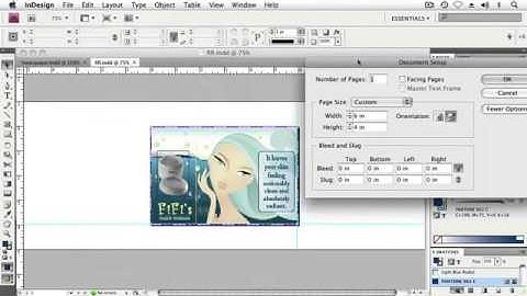 Adope Flash Tutorial CS4 Inserting Text Variables