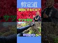 《今だけ！！》花後の今だからできるサツキ剪定　健康と美しさを引き立てるお手入れは#剪定方法 #庭作業 #庭木の管理 #庭木の手入れ #サツキ #初心者