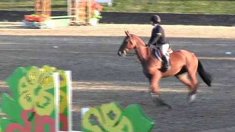 Video of Fee ridden by Tori Palazzolo from ShowNet!