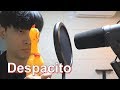 Luis Fonsi - Despacito 'Chicken Band Ver' (Cover by Big marvel)