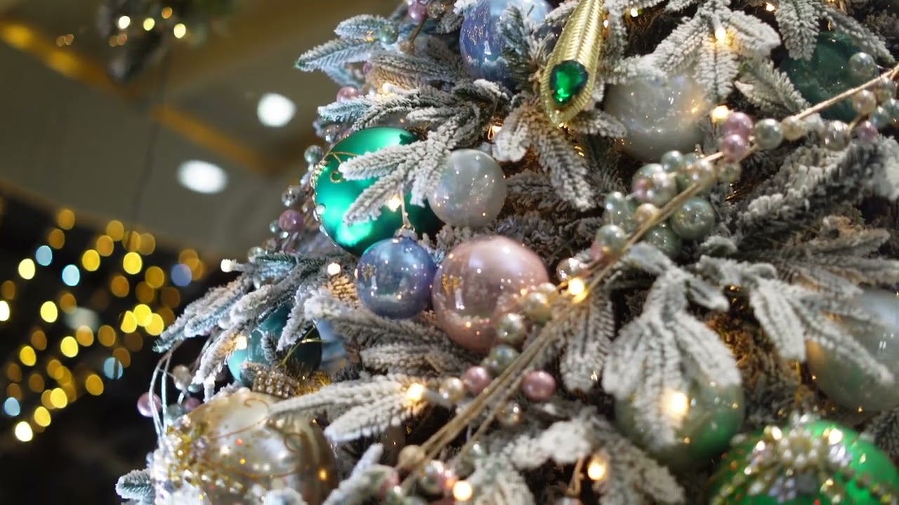 The Latest News On Oliver Warders! Episode 1006