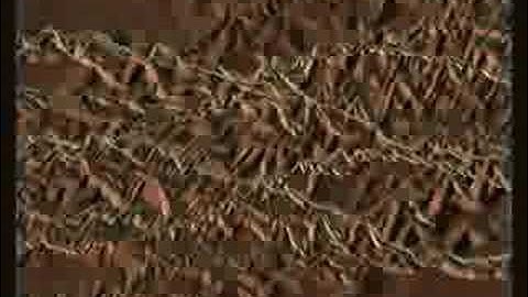 4DiAMONDS - Luxology Modo 1.03_15661crk