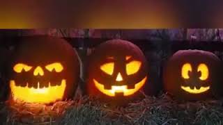 Halloween Talking Animated LED Pumpkin