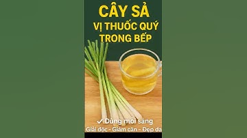 Đừng Chỉ Nấu Ăn! Cây Sả Giảm Giảm Mỡ, Đẹp Da, Kháng Bệnh!  #chamsocsuckhoe #quần short #caysa
