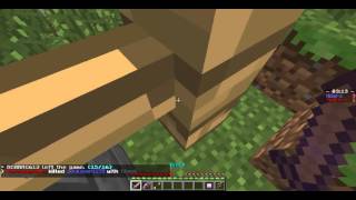 Skydoesminecraft's server