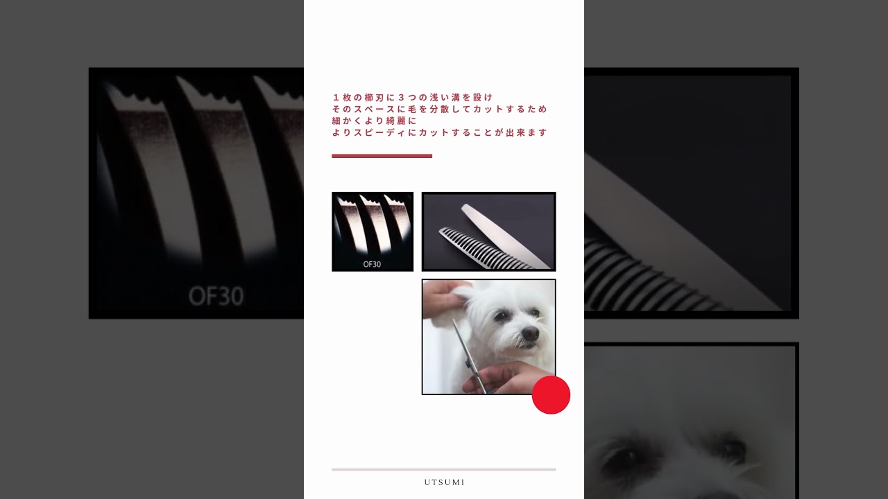 内海 OF-30 (UTSUMI U&U/カット率35%) ハサミ屋はやし