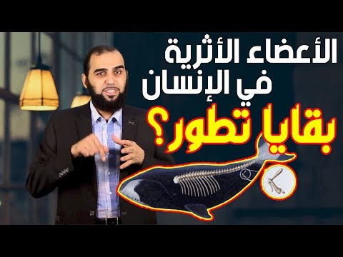 الأعضاء الضامرة الأثرية في الإنسان هل هي بقايا تطور سؤال صعب تحصين العقل المسلم 14  