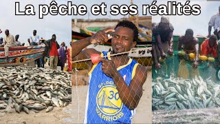 🔴Documentaire sur la pêche artisanale à Mboro Sénégal les problèmes et défis à relever