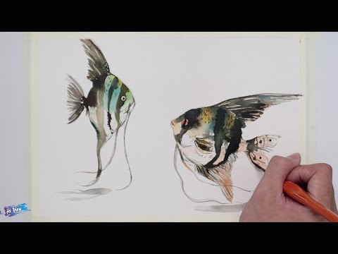 Hi View - #70 How to Draw an Angelfish Step by Step Easy Tutorial