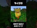 虹の滝を知ってるか？【マイクラ】